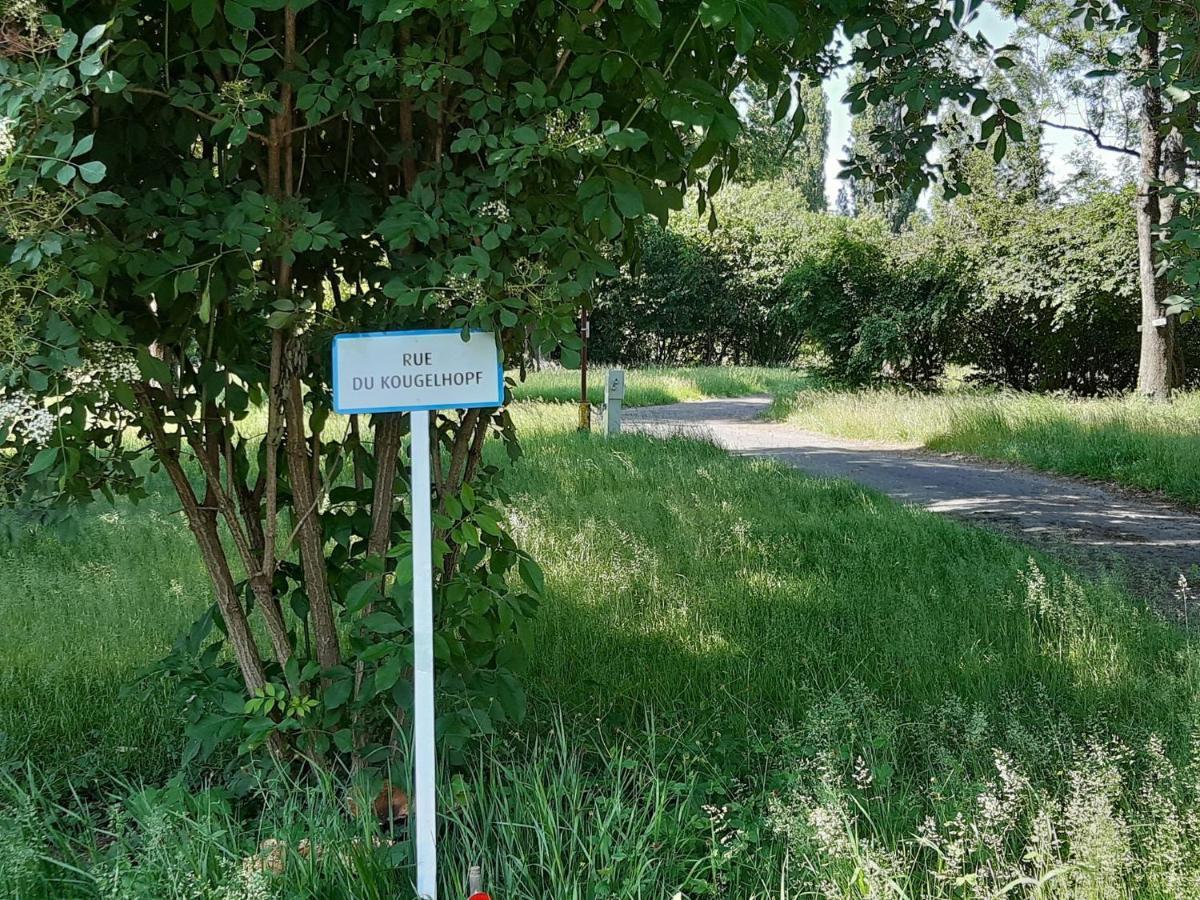 Camping De L'Ill Mulhouse Bagian luar foto